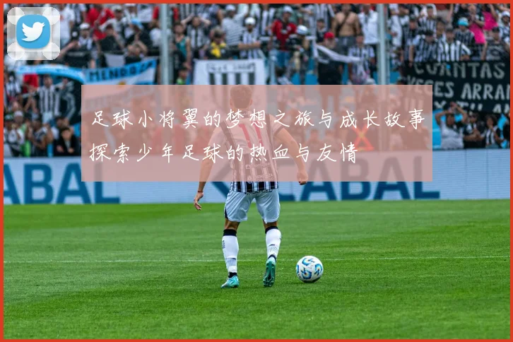 足球小将翼的梦想之旅与成长故事探索少年足球的热血与友情